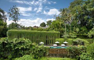 The Art of Camouflage: How Chameleon Villa Bali Architecture Redefined Balinese Modernism The Art of Camouflage: How Chameleon Villa Bali Architecture Redefined Balinese Modernism